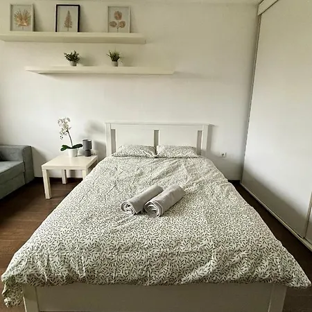 Apartment Flat Near Btc City - Free Parking